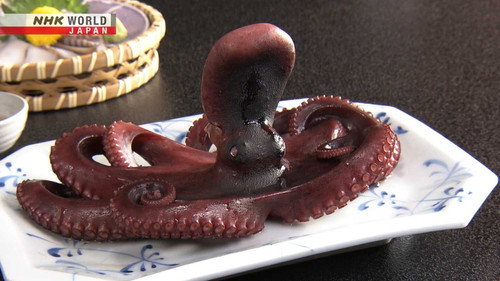 Japanology Plus mini Season 7 Episode 5 - Octopuses