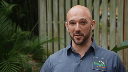 Secrets of the Zoo: Tampa Season 2 Episode 4 - Iguana Be Your Friend