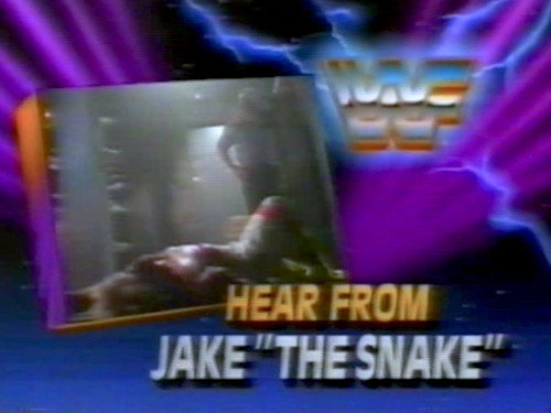 August 24, 1991 - Superstars of Wrestling 260 still