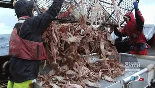 Deadliest Catch Season 8 Episode 12 - Collision Course