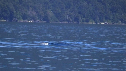 Paranormal Caught on Camera Season 2 Episode 7 - A Colossal Lake Creature in Chile and More