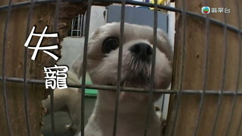 News Treasury Season 2 Episode 16 - Episode 16