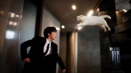 Love in Disguise Season 1 Episode 2 - Episode 2