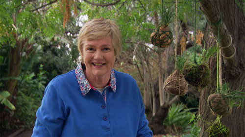 Gardening Australia Season 29 Episode 12 - Episode 12