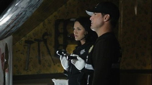 CSI: Crime Scene Investigation Season 11 Episode 22 - In A Dark, Dark House (3)