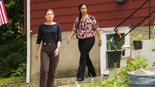 FBI: Most Wanted Season 4 Episode 2 - Taxman