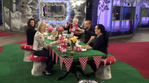 Celebrity Big Brother Season 15 Episode 32 - Day 30 + Live Final