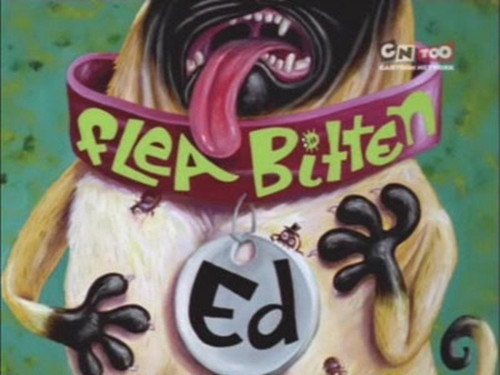 Ed, Edd n Eddy Season 1 Episode 20 - Flea-Bitten Ed