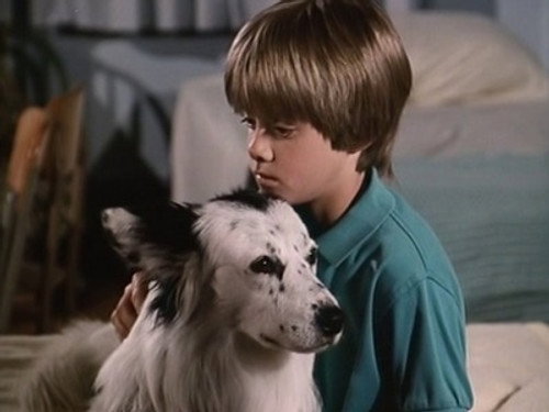 Highway to Heaven Season 4 Episode 2 - Man's Best Friend (2)