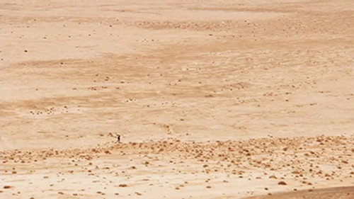 Bear Grylls: Escape From Hell Season 1 Episode 3 - Desert