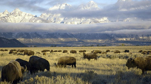 America's National Parks Season 1 Episode 5 - Yellowstone