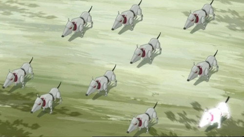 Code Lyoko Season 4 Episode 21 - Canine Conundrum