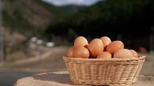 Trails to Oishii Tokyo Season 7 Episode 8 - Eggs