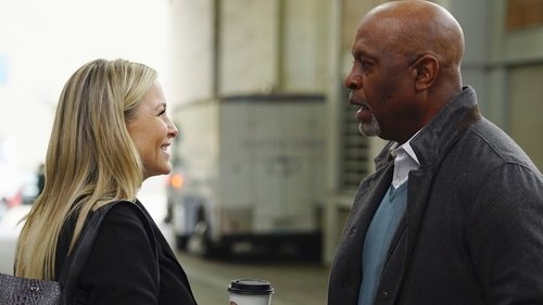 Grey's Anatomy Season 12 Episode 21 - You're Gonna Need Someone on Your Side