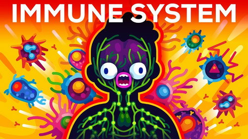 Kurzgesagt - In a Nutshell Season 9 Episode 10 - How The Immune System ACTUALLY Works – IMMUNE