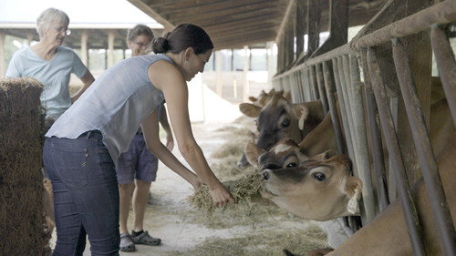 From the Source Season 1 Episode 2 - Cheese