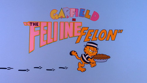 Feline Felon still