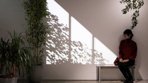 DESIGN TALKS plus Season 4 Episode 22 - Instinct