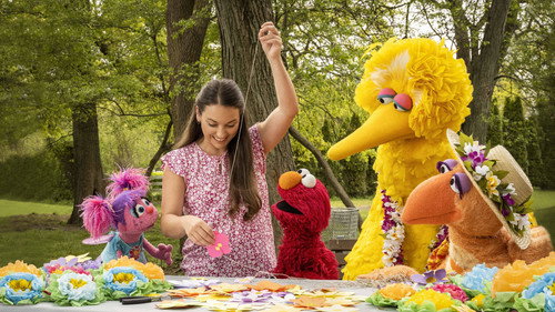Sesame Street Season 53 Episode 13 - Nani Bird Visits