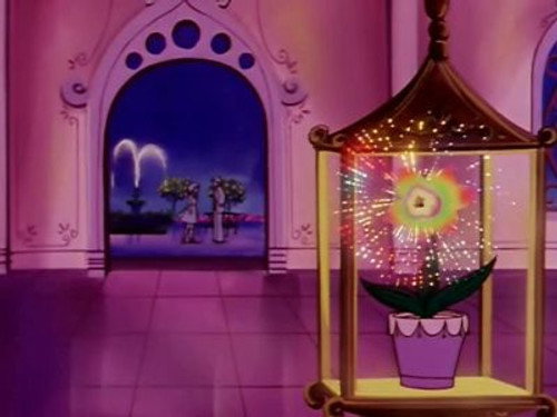 Flower Angel Season 1 Episode 50 - The Happiness full of Flowers