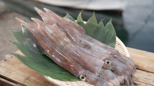 Trails to Oishii Tokyo Season 7 Episode 6 - Spear Squid