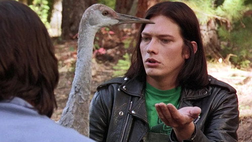 Northern Exposure Season 4 Episode 7 - The Bad Seed