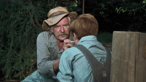 The Waltons Season 3 Episode 7 - The System