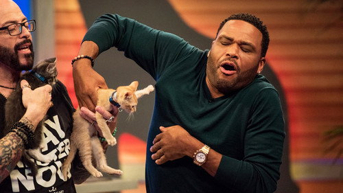 Animal Nation With Anthony Anderson Season 1 Episode 8 - Keesha Sharp; Fred Willard; Jackson Galaxy
