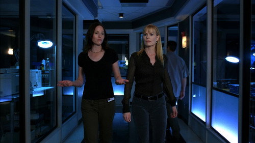 CSI: Crime Scene Investigation Season 6 Episode 11 - Werewolves