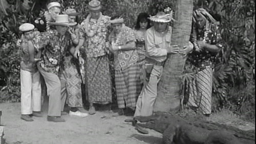 McHale's Navy Season 3 Episode 7 - Will the Alligator Take the Stand?