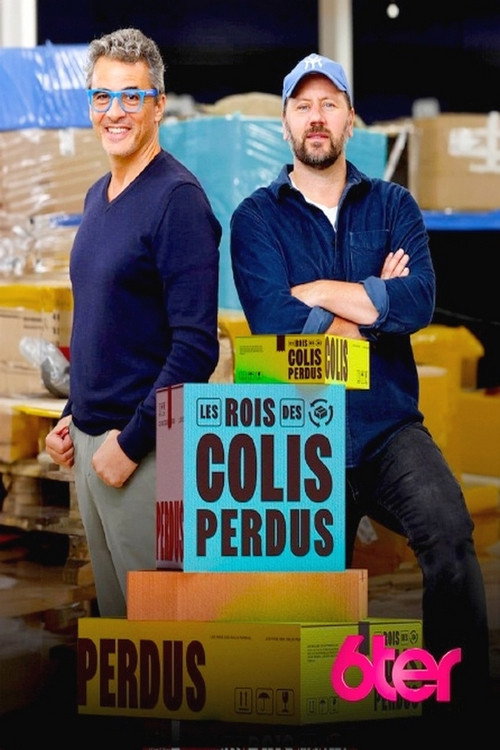 Les rois des colis perdus poster