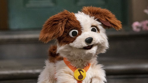 Sesame Street Season 52 Episode 6 - Doggie Job Search