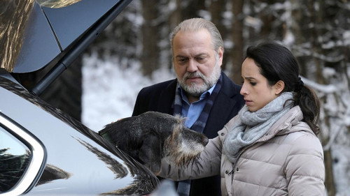 The Old Fox Season 45 Episode 2 - Episode 2