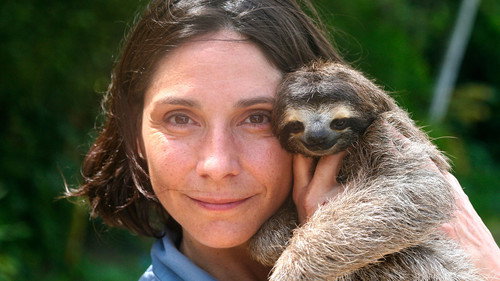 Nature Season 33 Episode 5 - A Sloth Named Velcro