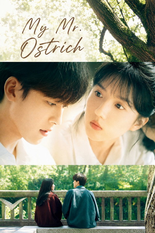 My Mr. Ostrich poster
