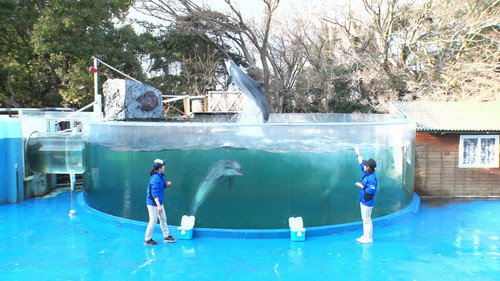 Japan's Top Inventions Season 2 Episode 2 - Acrylic Aquarium Panels