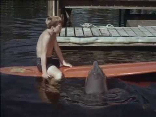 Flipper Season 2 Episode 24 - The Raccoon who Came to Dinner