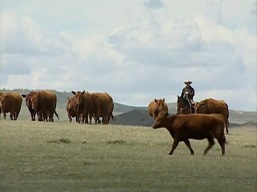 Cowboy Tech still