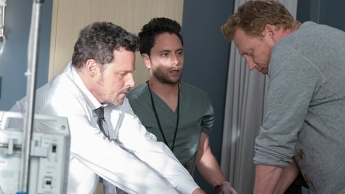 Grey's Anatomy Season 16 Episode 4 - It's Raining Men