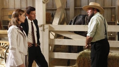 Bones Season 5 Episode 3 - The Plain in the Prodigy