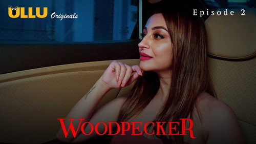 Woodpecker Season 1 Episode 2 - Episode 2