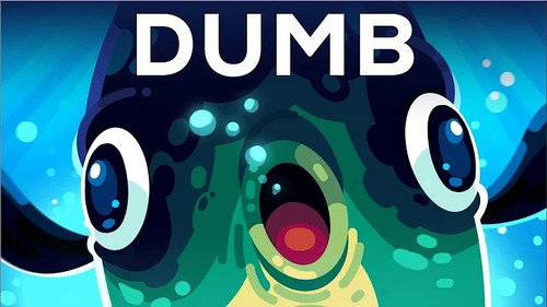 Kurzgesagt - In a Nutshell Season 13 Episode 13 - The Dumbest Animal Alive