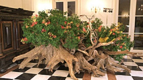 DESIGN TALKS plus Season 1 Episode 4 - Flowers