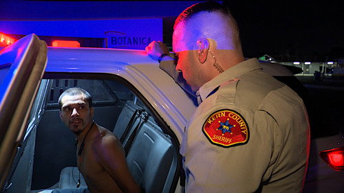 Cops Season 36 Episode 13 - Flying Blind