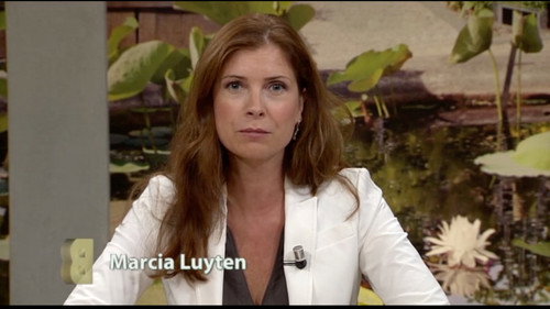 Buitenhof Season 16 Episode 36 - Episode 36