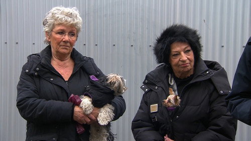 Mr. Frank Visser doet Uitspraak Season 9 Episode 15 - Episode 15