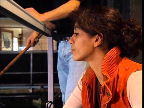 Episode 331 still