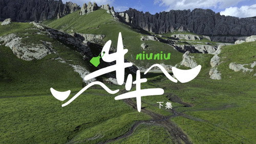 The Miracles Season 1 Episode 4 - Niuniu the Yak (2)