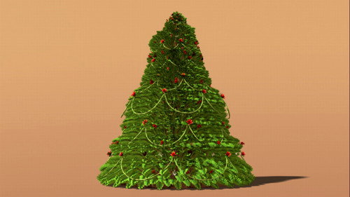 Cretaceous Conifers still