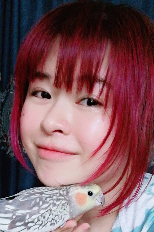 Deng Jiamei